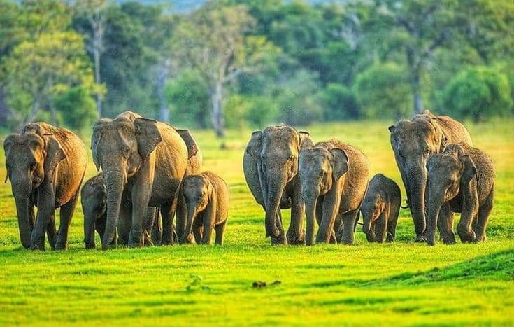 Idukki